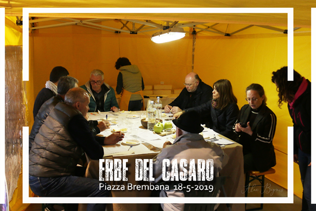 Pro Loco Piazza Bremabana -Altobrembo - Erbe del Casaro 2019