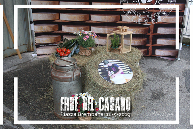 Pro Loco Piazza Bremabana -Altobrembo - Erbe del Casaro 2019
