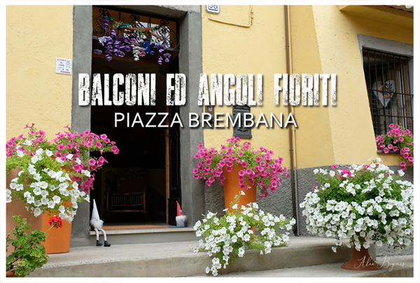 PIAZZA BREMBANA Balconi Giardini ed Angoli fioriti.