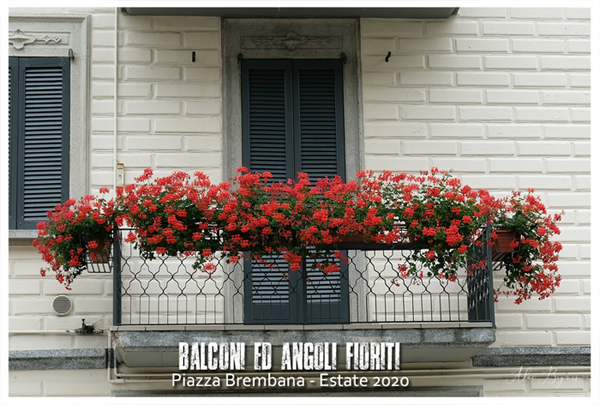 PIAZZA BREMBANA Balconi Giardini ed Angoli fioriti.