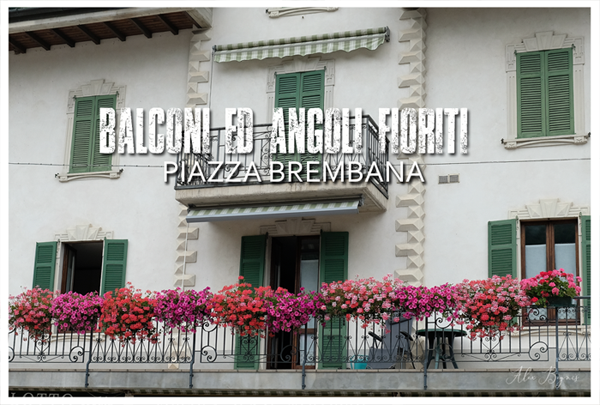 PIAZZA BREMBANA Balconi Giardini ed Angoli fioriti.