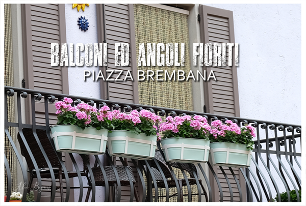 PIAZZA BREMBANA Balconi Giardini ed Angoli fioriti.