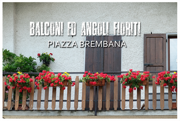 PIAZZA BREMBANA Balconi Giardini ed Angoli fioriti.