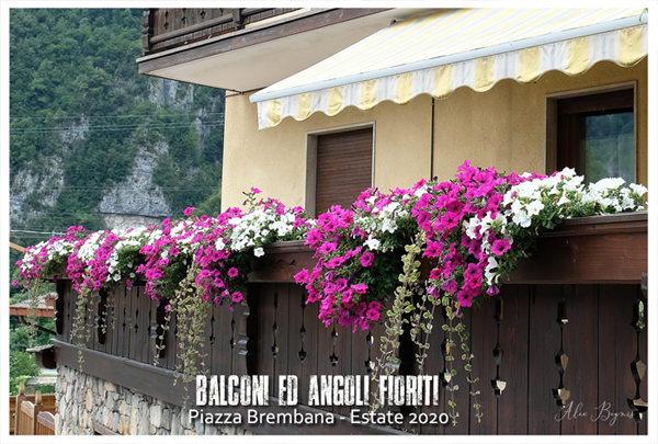 PIAZZA BREMBANA Balconi Giardini ed Angoli fioriti.