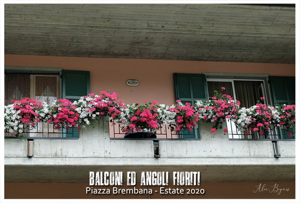 PIAZZA BREMBANA Balconi Giardini ed Angoli fioriti.