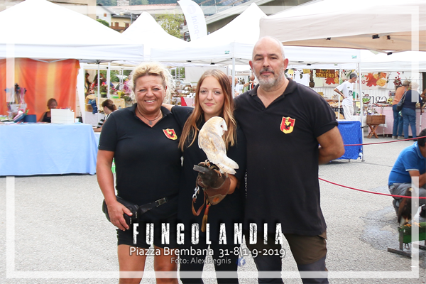 Piazza Brembana Fungolandia. I FALCONIERI DELLE OROBIE. Esposizione Rapaci.